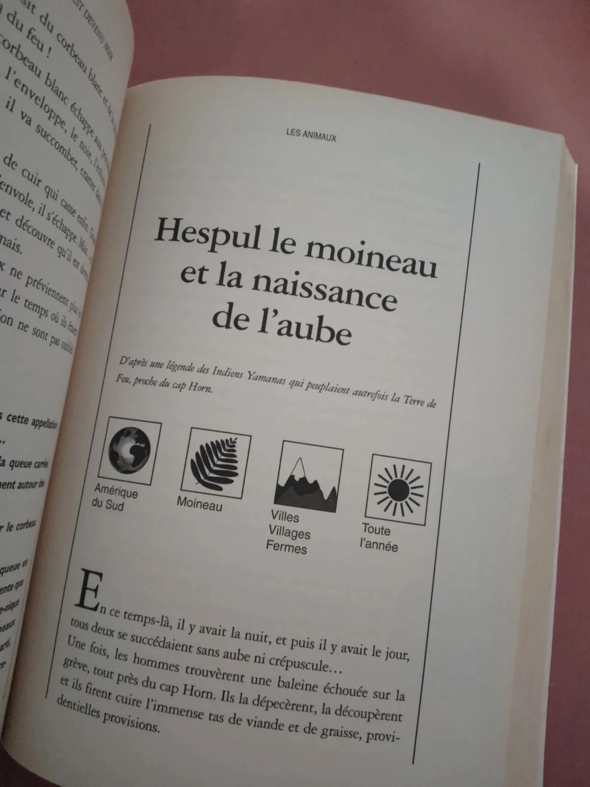 milles ans de contes sur les sentiers – photo 10